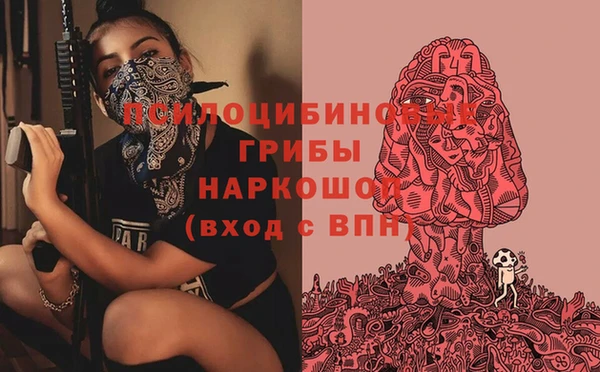 стафф Вязьма