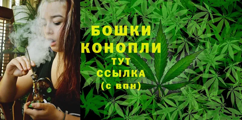 kraken   Уяр  МАРИХУАНА THC 21% 